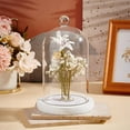 thumbnail image 5 of DIY Glass Dome with Base Cloche Cloche Bell Jar Display Dome Case Glass Decoration Bottles for Plants Flower Display Clay Succulents Storage Home Party Favor Decoration 3.5x7 inch DIY, 5 of 6