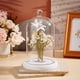thumbnail image 5 of Cúpula de cristal con base, campana de cristal, vitrina, cúpula de cristal, botella decorativa de cristal, 5 of 6