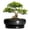 Matte Black, variant on Ordivic 6 inch Blue Glaze Round Ceramic Bonsai Pot with Drainage Hole & Saucer, Decorative Indoor Planter for Home Living Room Decor