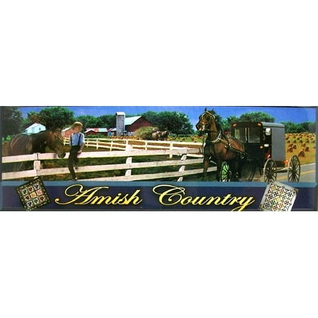 

Amish Country with Horse and Buggy Fridge Magnet