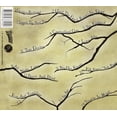 Six String Yada - Diluted Roots [CD] - Walmart.com