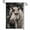 A, variant on XaaKee Garden Flags For Outside Clearance, Humorous Animal Portrait Somnolent Expression Garden Flags, Double-sided High-Quality White Linen Yard Flag, Outdoor Decor, 12x18Inch