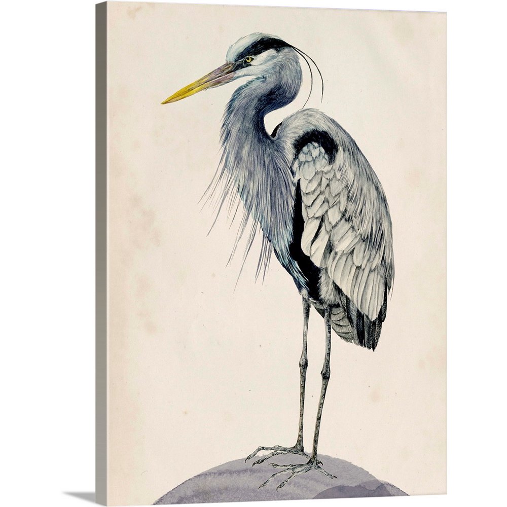 Blue Heron Rendering II Canvas Wall Art, Home Decor 18x24 Walmart