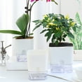 thumbnail image 5 of HUISZJ Self Watering Planter, Square Planter Pot Double Layer Flowerpot with Visible Reservoir, Magnetic Transparent Double-Layer Plastic Flower Pot for Indoor Plants (Square L), 5 of 10