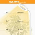 thumbnail image 4 of Lampe de Croissance pour Plantes avec Lumières de Croissance pour Plantes d'Intérieur, Lampe sur Pied à Spectre Complet à DEL avec Support à Hauteur Réglable, Minuterie Automatique //H Luminosité Réglable pour Petites, Grandes et Hautes Plantes Gr, 4 of 8