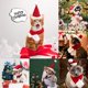 thumbnail image 2 of Conjunto De Gorro Y Bufanda Navideños Para Mascotas. Abrigo Corto De Invierno. Vestido Navideño Para Mascotas. Gorro Y Bufanda Navideños Para Mascotas. Adecuado Para Mascotas Pequeñas Y Medianas., 2 of 8