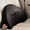 Black2921, variant on Qiopertar Clearance Home Decor Car Lumbar Seat Cushion Cushion Driver Lumbar Cushion Driving Waist Protection Driver Seat Backrest Car Cushion Car Lumbar Pillow under $5 Saving Up To 99% Off
