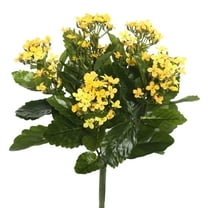 Vickerman 17.25" Artificial Yellow Kalanchoe Bush.