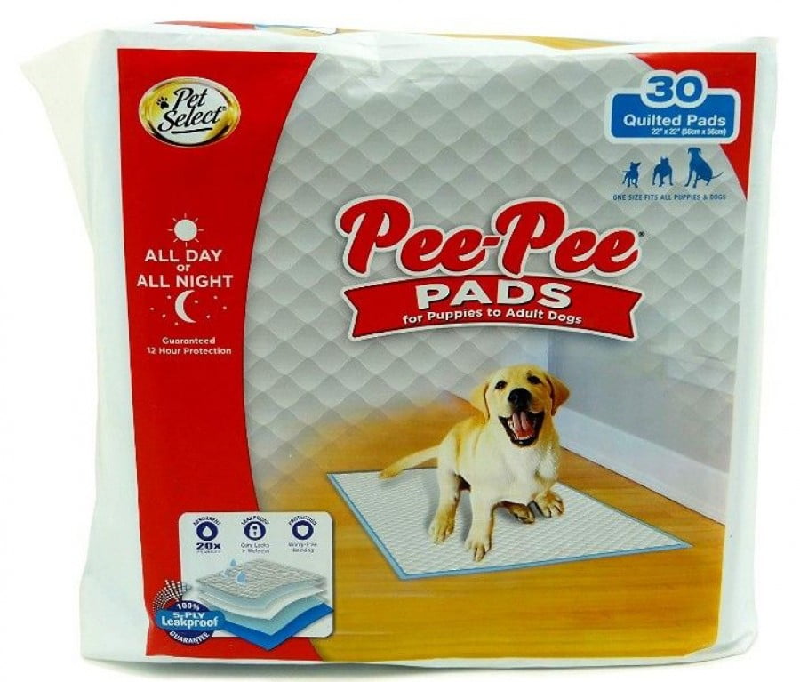 Are Dogs Attracted To Pee Pads