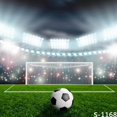 thumbnail image 1 of BSDHOME Polyester 5x7ft Terrain de Football Vert Fond de Photographie, 1 of 2