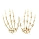 thumbnail image 1 of 1 par de manos de esqueleto de Halloween, mano de plástico, modelo de esqueleto de garra de calavera, manos aterradoras para decoración de Halloween, broma de terror, fiesta de cosplay, decoraciones d, 1 of 3