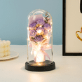 thumbnail image 2 of FTCBJJA Flowers Roses Gifts for Women, Forever Real Preserved Roses in Glass Dome for All Occasions, Valentines, Anniversary, Thanksgiving, Purple, 2 of 7