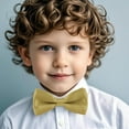 thumbnail image 2 of Xfvqtps Boys Bow Tie Solid Color Bowties Adjustable Neckties for Uniform School Party Gold, 2 of 7
