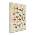 thumbnail image 2 of Stupell Industries Vintage Mushrooms Nature Studies Landscape Painting Gallery Wrapped Canvas Print Wall Art, 2 of 5
