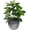 Green, variant on Artificial Potted Plant, Real Touch Artificial Oak Leaves Waterproof Fake Plants Indoor Outdoor, Eco Friendly Modern Concrete Greenery Plant Pots for Office Home Kitchen Shelf Farmhouse Decor