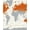 Gray Orange, Pattern 4, variant on ODIKA Earth World Map Design With Vintage Cartography Continent Outlines for Playroom, Bedroom, Reading Nook, Pet Friendly & Kids Safe Play