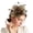 Coffee, variant on VJGBEGW Fascinator Hat with Mesh Fascinators Headband for Women Floral Headpiece with Headband for Tea Party, Wedding