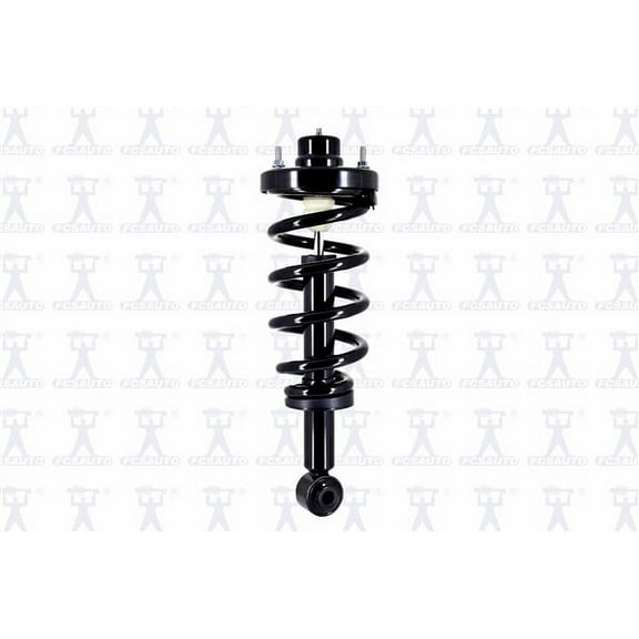 Suspension Strut and Coil Spring Assembly