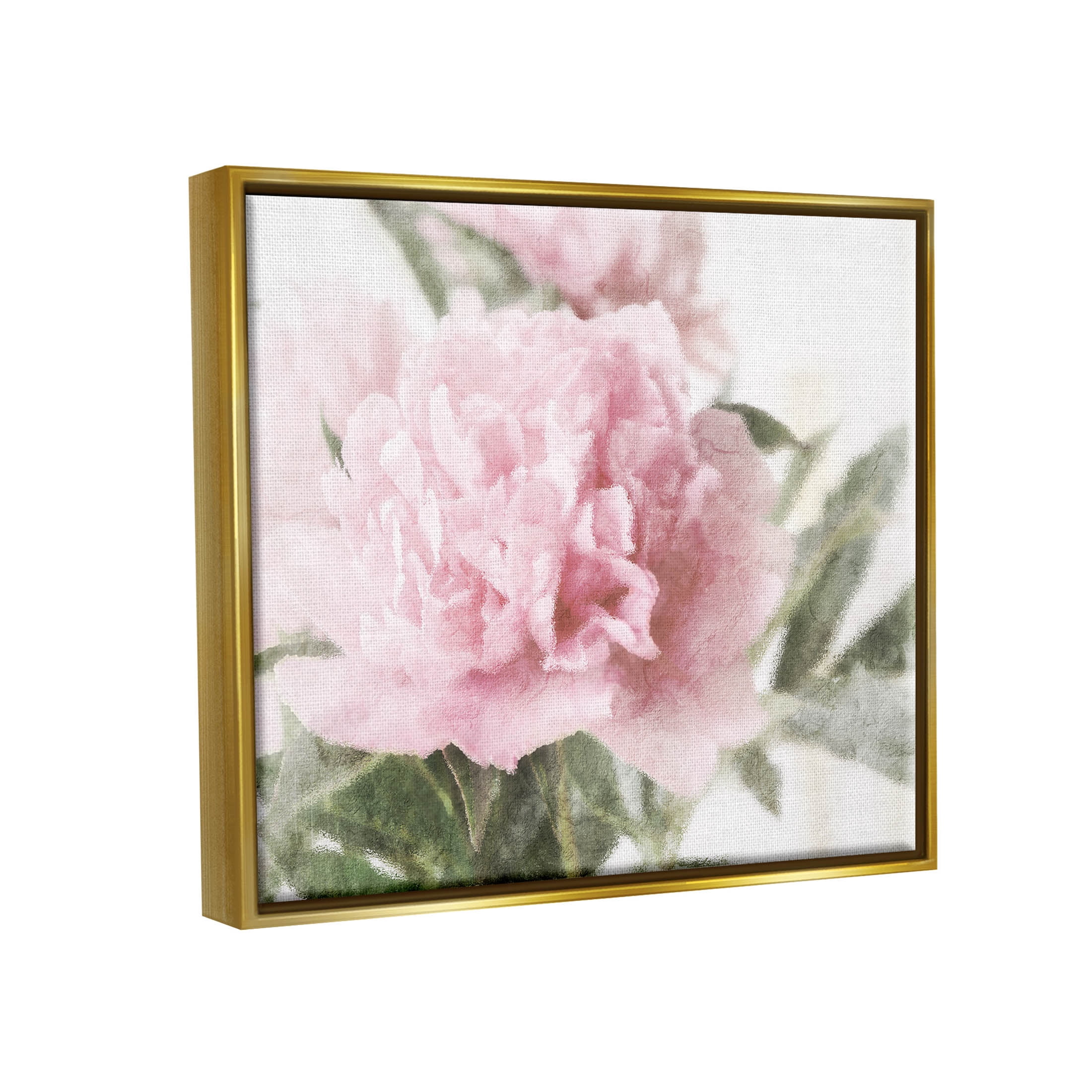 Soft Pink Carnation Blossom Botanical & Floral Graphic Art Metallic Gold Framed Art Print Wall Art