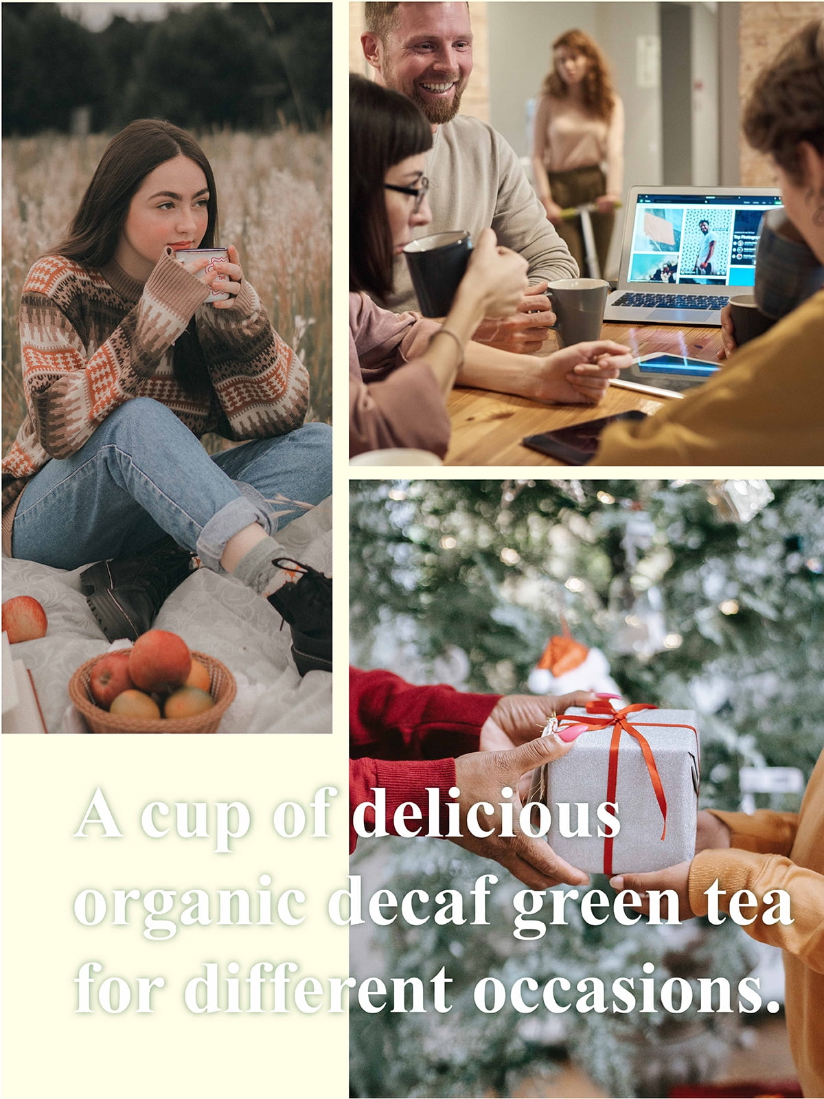 GLDNT Organic Decaf Green Tea, Organic Decaffeinated Green Tea Loose leaf, Delicate & Smooth Flavor, 16oz