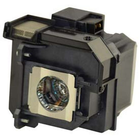 

Replacement for BATTERIES AND LIGHT BULBS V13H010L79