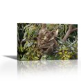 thumbnail image 1 of Koala mother and three month old joey in Eucalyptus tree, Australia - Contemporary Fine Art Giclee on Canvas Gallery Wrap - wall décor - Art painting - 36 x 24 Inch - Ready to Hang, 1 of 2