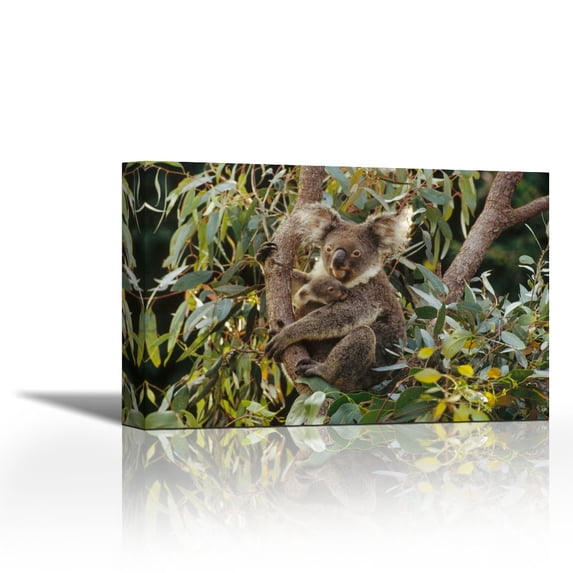 Koala mother and three month old joey in Eucalyptus tree, Australia - Contemporary Fine Art Giclee on Canvas Gallery Wrap - wall décor - Art painting - 36 x 24 Inch - Ready to Hang
