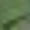 Army Green, variant on Womens Two Piece Sets Summer Spring Outfits Slim-fitting Short-sleeved High-waisted Wide-leg Pants