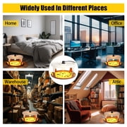 KingFurt 2 Pack Flea Trap Indoor Flea Light for Inside Your Home with 6 Sticky Disc & 6 Bulbs & 2 Electric Wires Pet and Kid ,Sticky Dome Bed Trap Non-