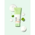 thumbnail image 1 of A'PIEU The Pure Tea Tree Cleansing Foam 200ml, 1 of 2