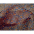 thumbnail image 4 of oneOone Silk Tabby Teal Blue Fabric Batik Craft Projects Decor Fabric Printed By The Yard 42 Inch Wide - II, 4 of 4