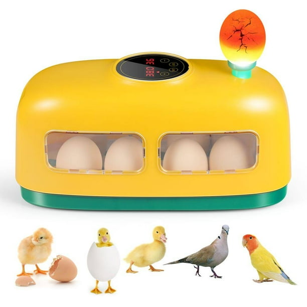 Incubadora de huevos, incubadora de 8 huevos con vela LED, control y pantalla de temperatura y humedad, herramienta educativa de incubadora digital para huevos de gallina, pato, ganso, codorniz