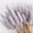 Purple, variant on Natural Dried Flowers 50 Pcs Dried Pampas Grass Stems Rabbit Tail Grass Plants for Wedding Centerpieces Bouquet Floral Arrangements Christmas Wreath Home Decor
