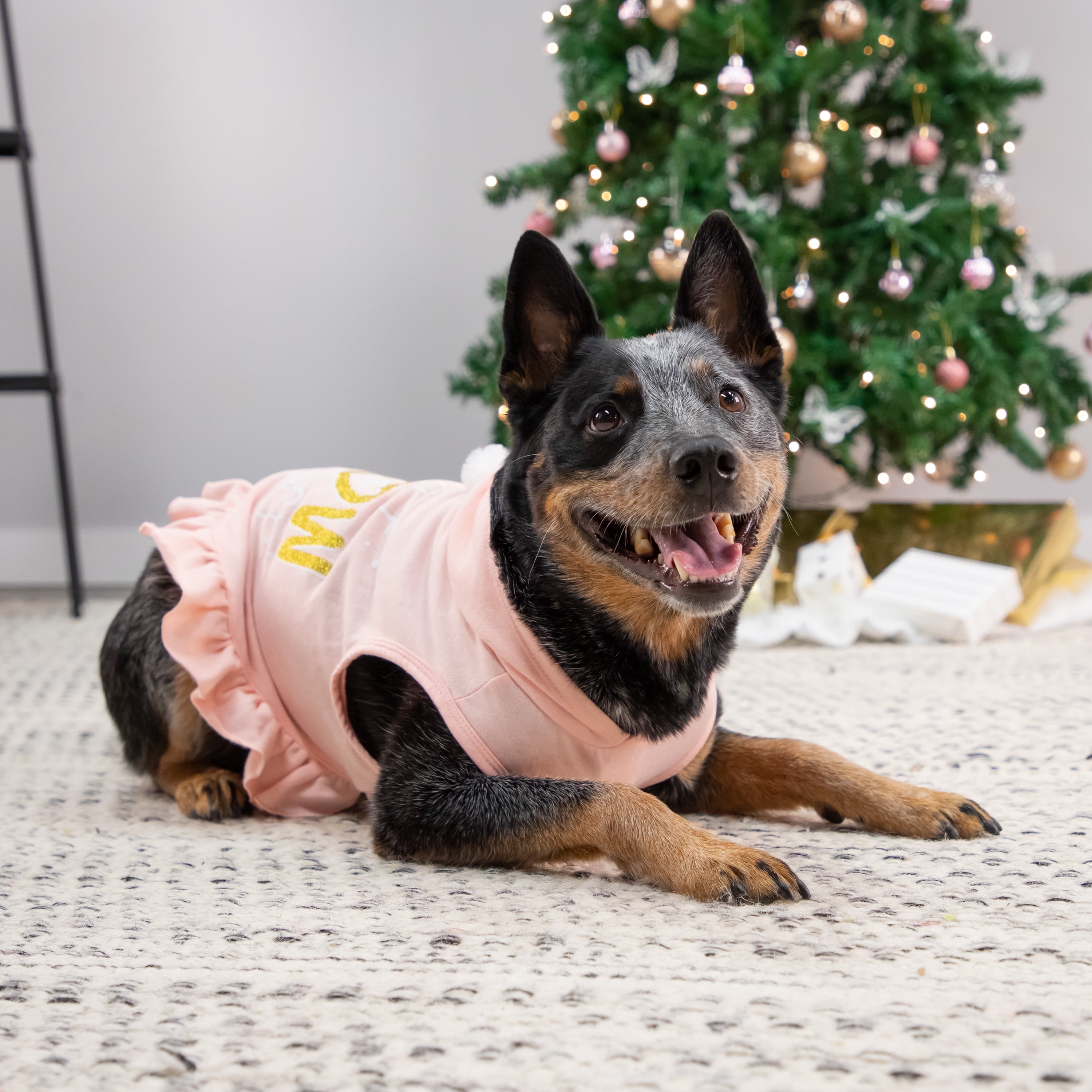 Vibrant Life, Dog and Cat Clothes, Little Snow Angel Pet Hoodie, Pink, XS