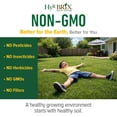 thumbnail image 5 of HyR BRIX Slow-Release 20-0-8 Phosphorus-Free Lawn Fertilizer, 45lb Bag - Lawn Food with Calcium & Sulfur - Essential Micronutrients for Dense, Healthy Grass - Covers 4,000 Square Feet, 5 of 6