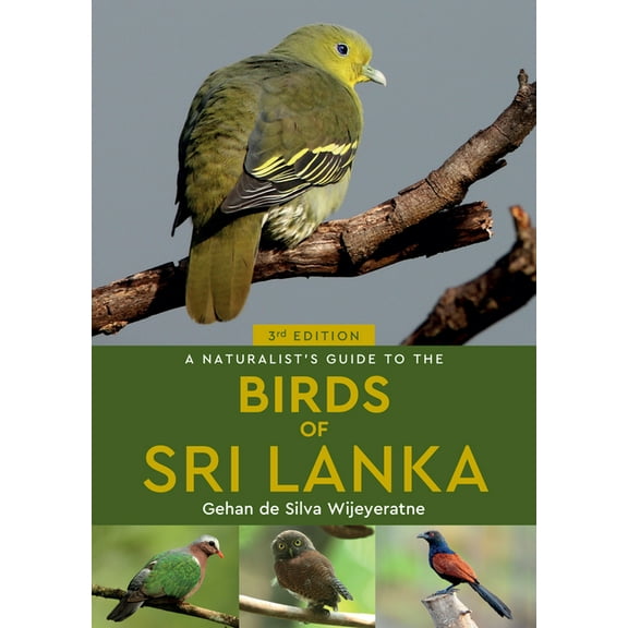 Naturalists' Guides A Naturalist's Guide to the Birds of Sri Lanka, (Paperback)