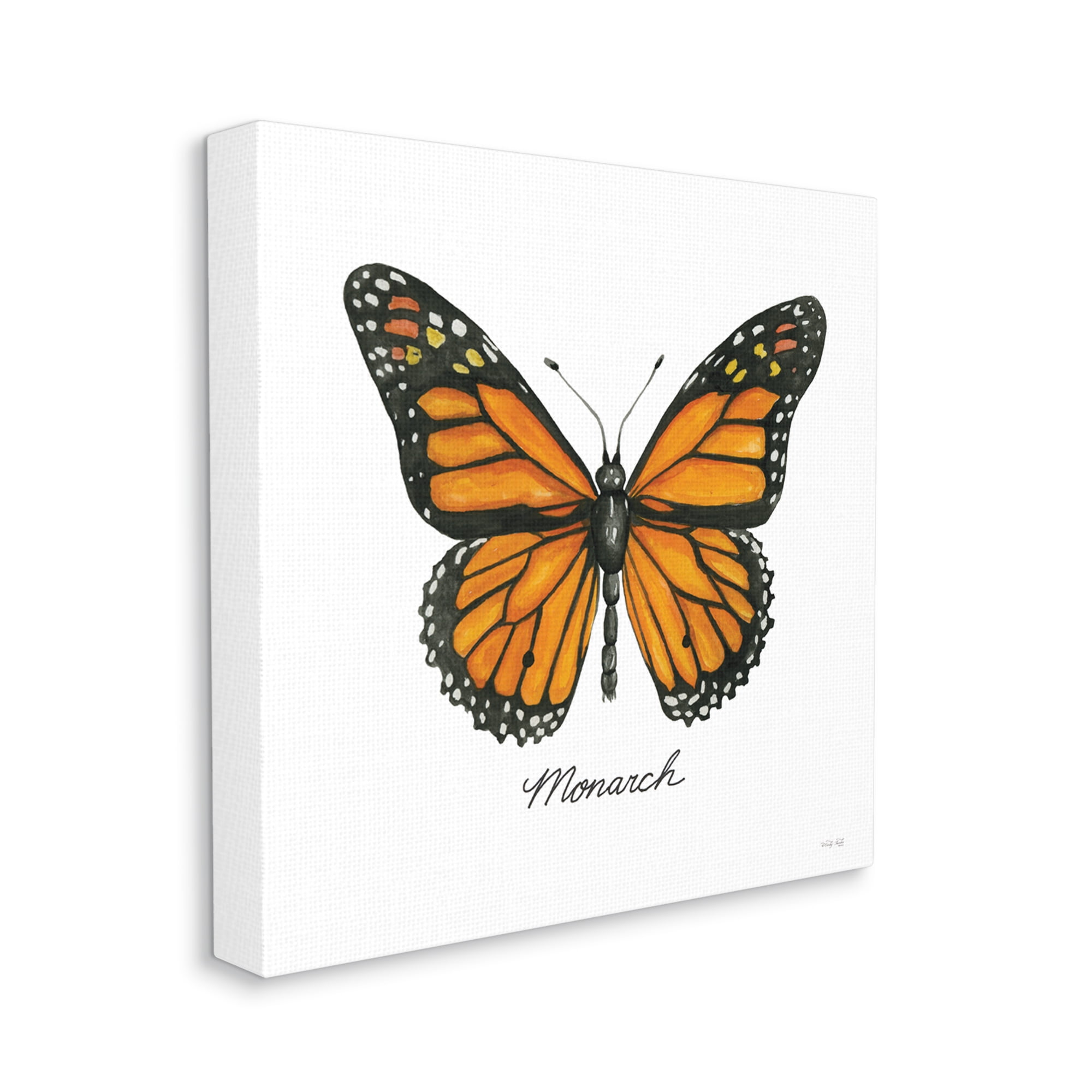 Stupell Industries Monarch Butterfly Casual Insect Wildlife Design Graphic Art Gallery Wrapped Canvas Print Wall Art, Design by Cindy Jacobs