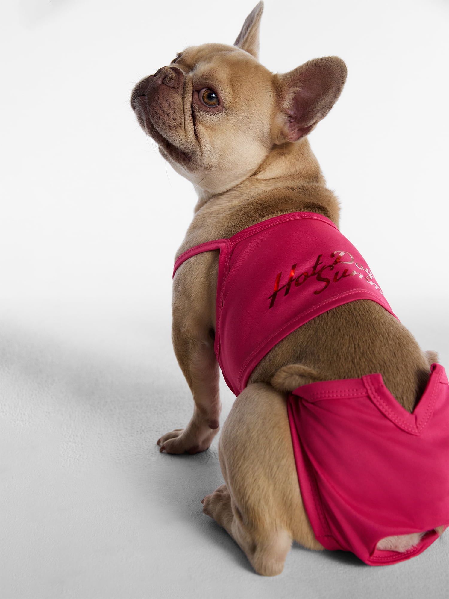 Hot Dog Summer By Megan Thee Stallion Bubblegum Barkini Dog Bikini, Pink, Large
