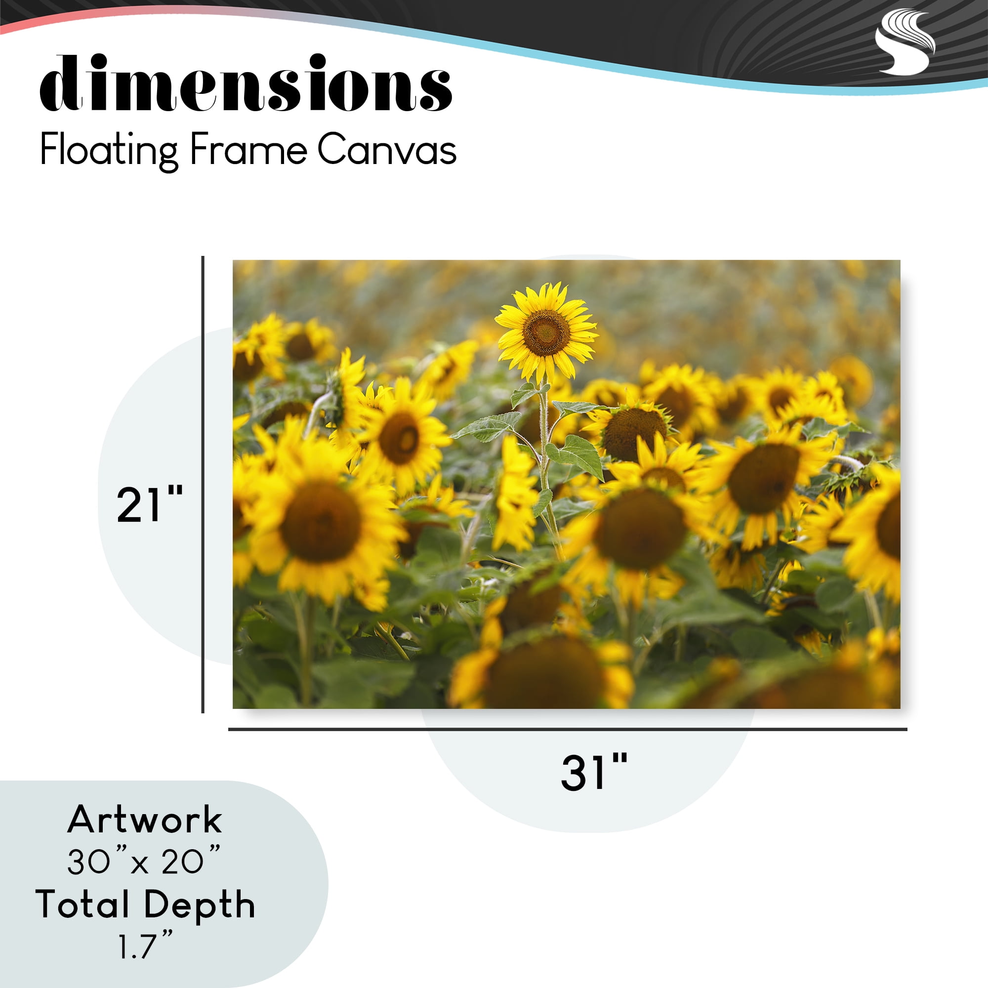 Central Sunflower in Meadow Gray Framed Floater Canvas Wall Art, design by Andy Crawford