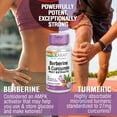 thumbnail image 3 of Solaray Berberine & Curcumin Root Extracts | Healthy Digestive, Cardiovascular & Metabolic Function Support | 60 VegCaps, 3 of 5