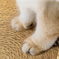 thumbnail image 4 of Cat Bed Pet Nest Pure Manual Rattan Woven Cattailgrass Cat Scratch Board Removable Washable Winter Warm Pad All-seasonPet ShopWise Round, 4 of 16