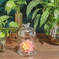 thumbnail image 6 of Arch Shape Bird Pattern Glass Cloche Dome Cover Terrarium for Eternal Flower Plant Kits Display 4x6.5inch, 6 of 9