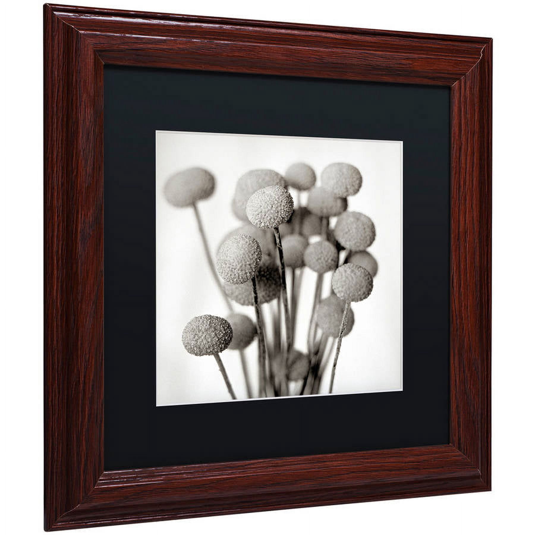Trademark Fine Art "Florison 33" Canvas Art by Alan Blaustein, Black Matte, Wood Frame