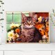 thumbnail image 1 of Cuadros Decorativos 5D DIY Diamond Painting Kits Flor Gato Full Square Drill Wall Art Crafts Mosaico Ndcxsfigh Nuevos Originales, 1 of 1