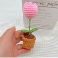 thumbnail image 3 of Nrmvnmi Mini Crochet Sunflower Potted Plant,Knitted Fake Plum Blossom for Bathroom Home Kitchen Rustic Table Centerpiece Shelf Decor, 3 of 9
