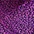 thumbnail image 5 of Cheetah Hologram Nylon Spandex Tricot Fabric  | Spandex palace, 5 of 7