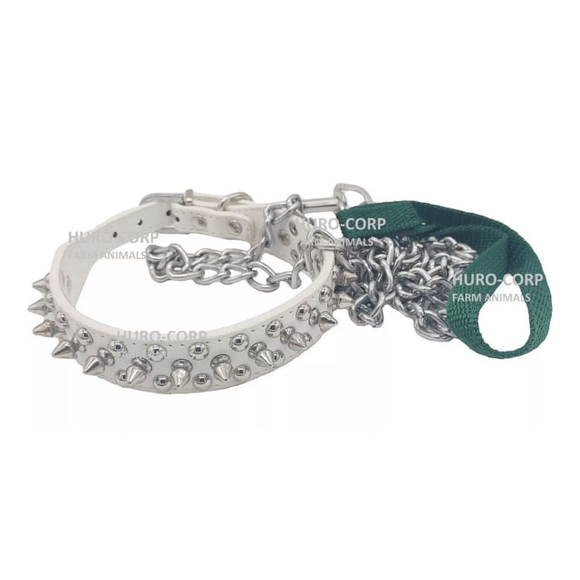 Collar Perro Con Picos De Metal Raza Pequeña Con Cadena 1.2m