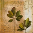 thumbnail image 2 of Pinto, Patricia 15x15 Gold Ornate Wood Framed with Double Matting Museum Art Print Titled - Botanica II, 2 of 4