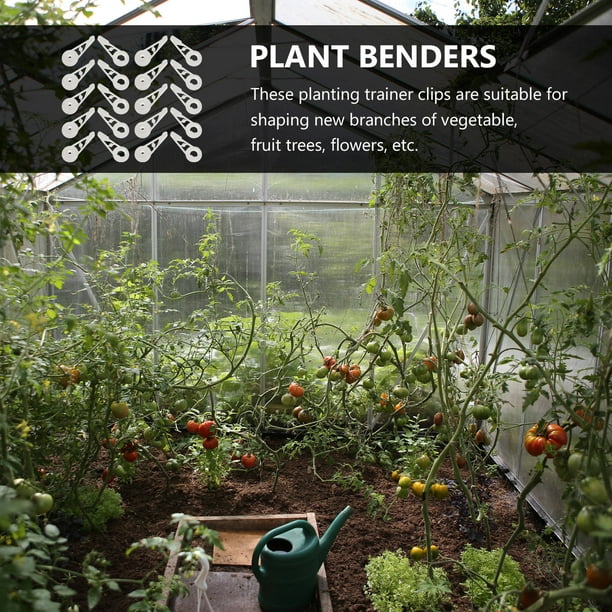 unbranded 20Ud Sujetadores Plásticos Para Plantas Con Ajuste 360 Para Cultivo Y Entrenamiento De Ramajes
