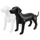 thumbnail image 5 of unbranded 2Ud Mannequín De Perro Para Tienda De Mascotas PVC Con, 5 of 7